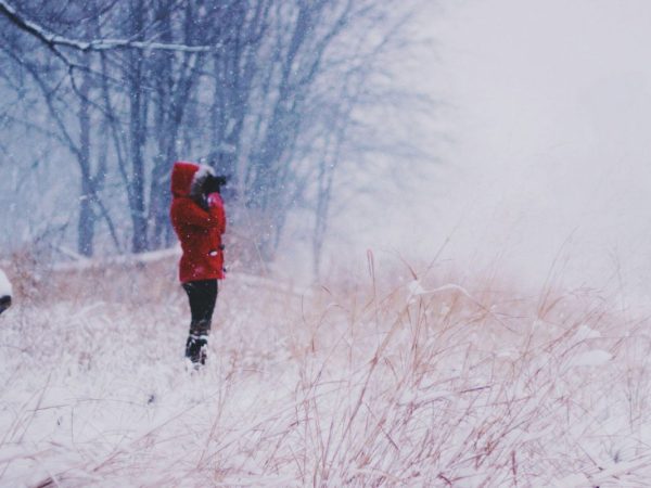 British iPhone users sent alerts of ‘severe high temperatures’ of 39F